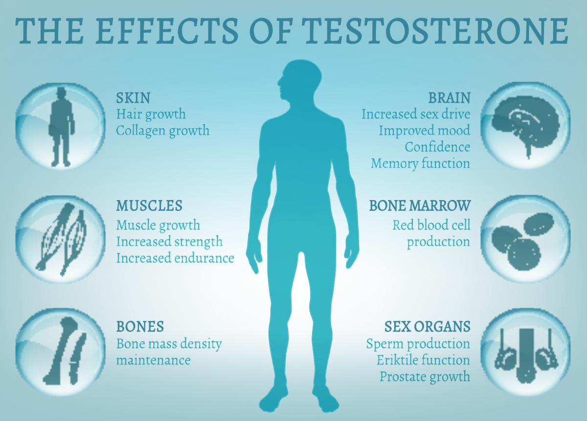 Is Testosterone Replacement Therapy Safe Ehormones Md 9236