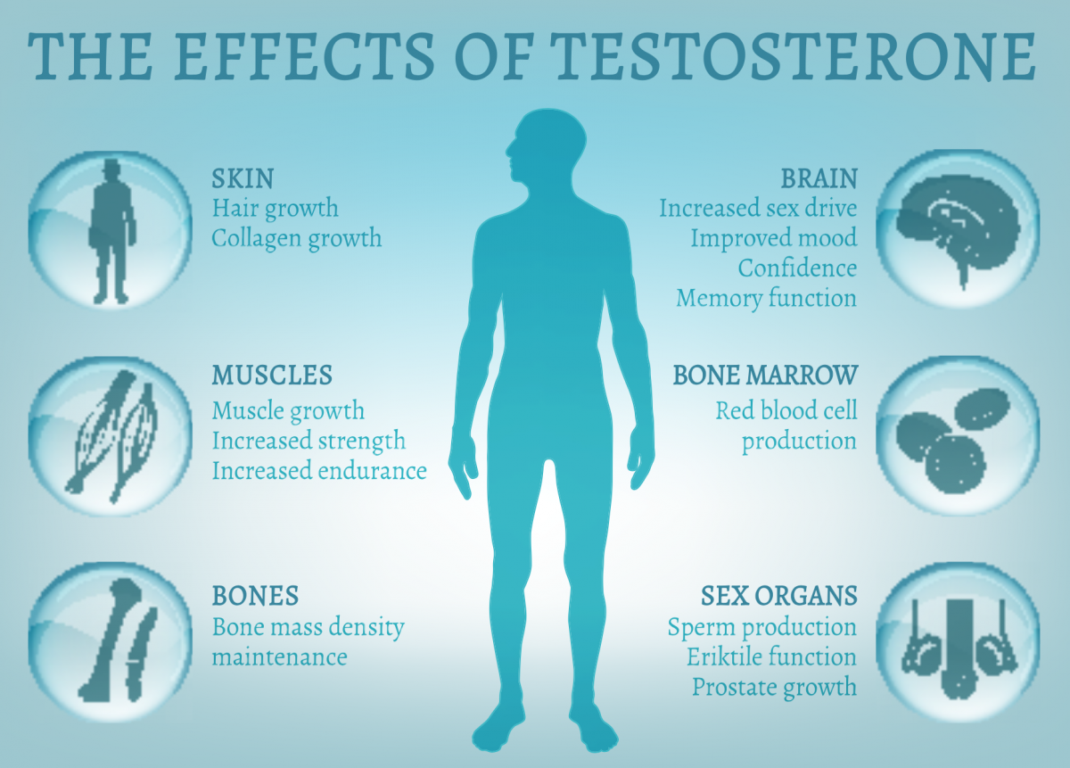 Is Testosterone Replacement Therapy Safe EHormones MD