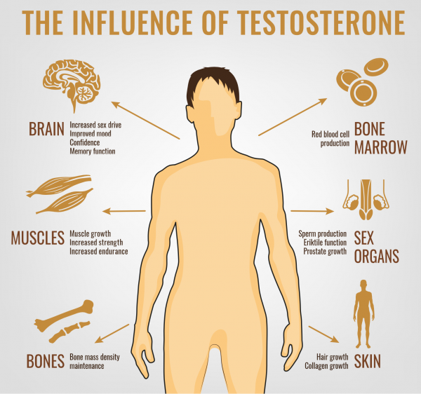 Will My Insurance Cover Testosterone Therapy? EHormones MD