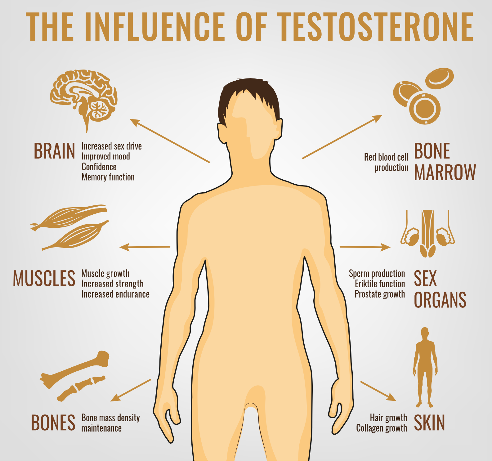 Will My Insurance Cover Testosterone Therapy Ehormones Md 2121